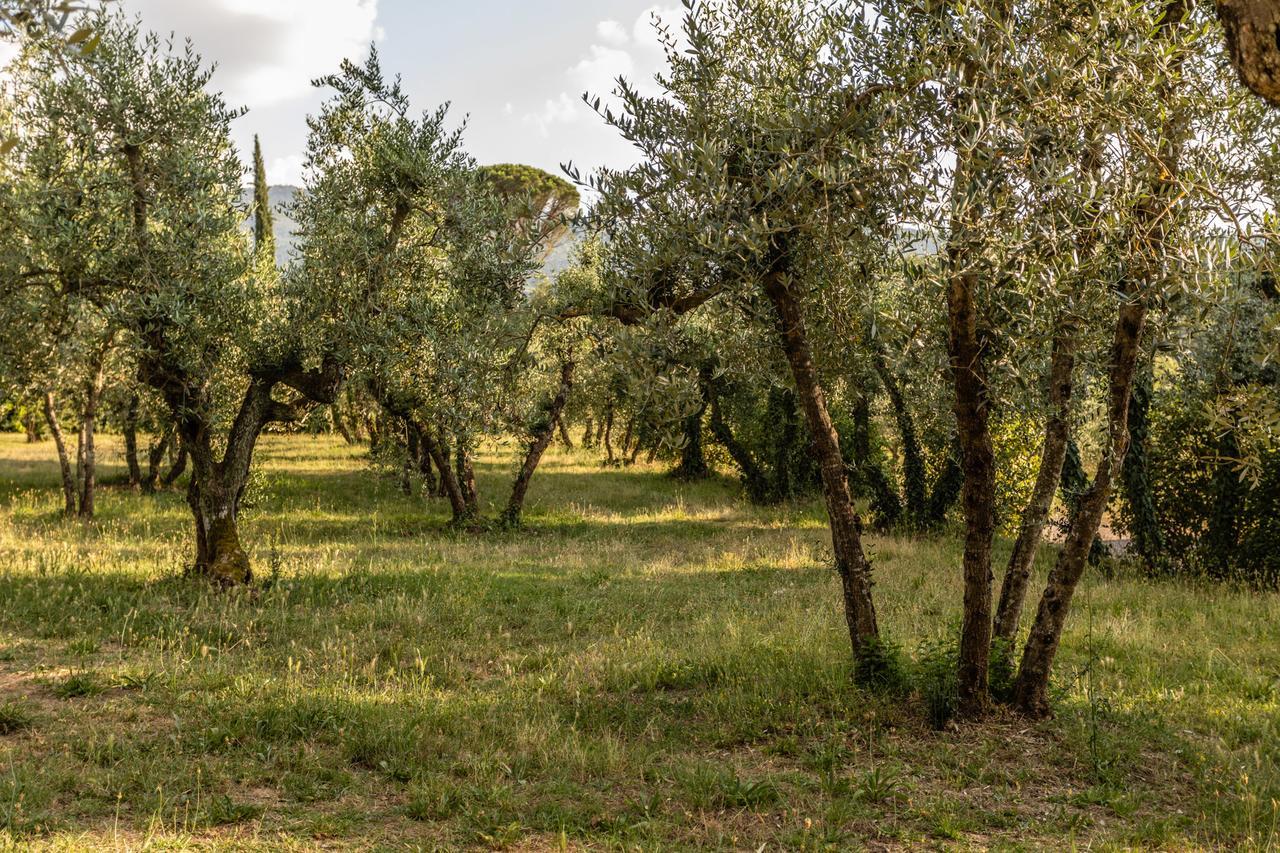 Ristorante Casa Volpi Hotel